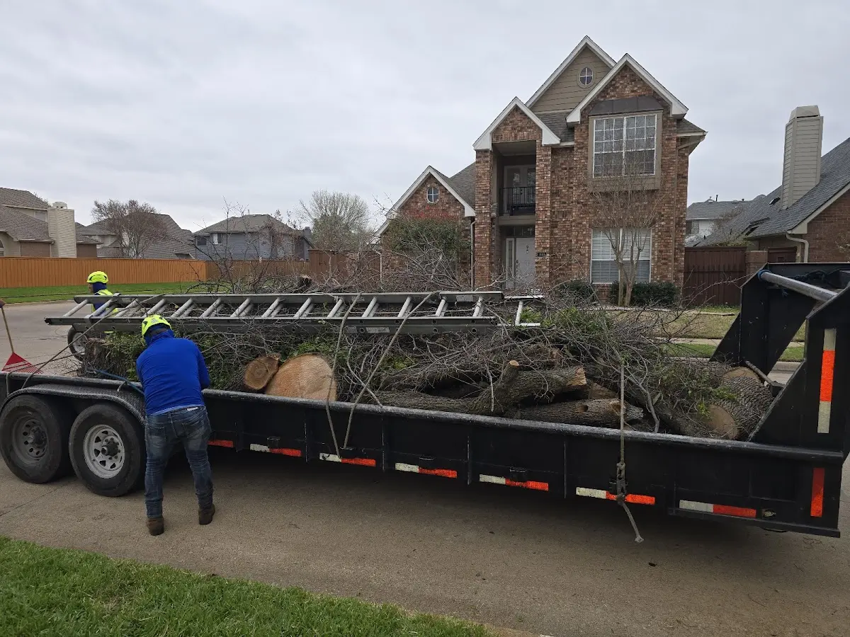 Expert Tree Fertilization with proper safety equipment in Langdon
